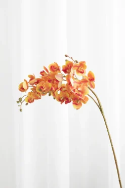 Specktrum Artificial Flowers - Amber Orchid (21 heads)