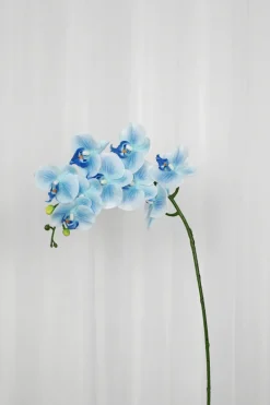Specktrum Artificial Flowers - Blue Orchid (9 heads)