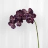 Specktrum Artificial Flowers - Burgundy Orchid (7 heads)