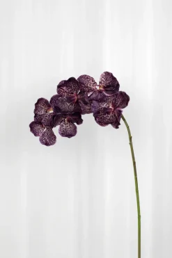 Specktrum Artificial Flowers - Burgundy Orchid (7 heads)
