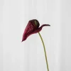 Specktrum Artificial Flowers - Burgundy Anthurium small
