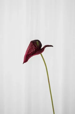 Specktrum Artificial Flowers - Burgundy Anthurium small