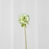 Specktrum Artificial Flowers - Green Scabiosa Seed Pod flower