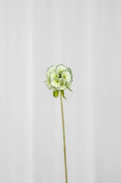 Specktrum Artificial Flowers - Green Scabiosa Seed Pod flower