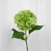 Specktrum Artificial Flowers - Green Hydrangea