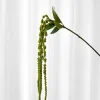 Specktrum Artificial Flowers - Green Amaranthus Branch