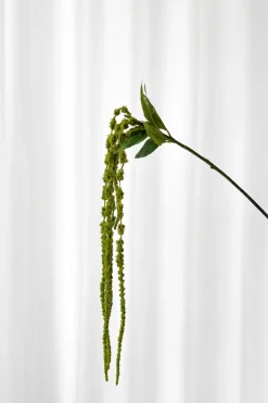 Specktrum Artificial Flowers - Green Amaranthus Branch