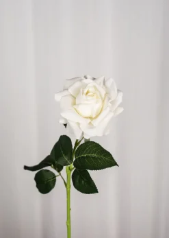 Specktrum Artificial Flowers - Ivory Rose