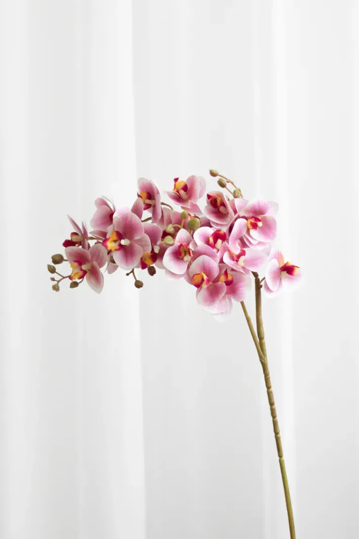 Specktrum Artificial Flowers - Pink Orchid (21 heads)