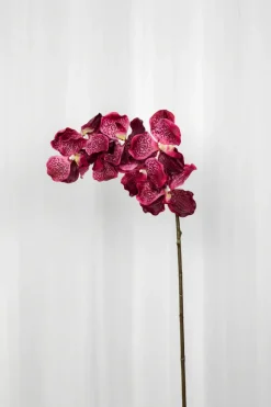 Specktrum Artificial Flowers - Plum Orchid (7 heads)
