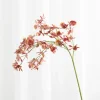 Specktrum Artificial Flowers - Rose Stem orchid