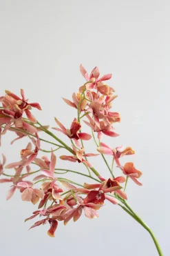 Specktrum Artificial Flowers - Rose Stem orchid