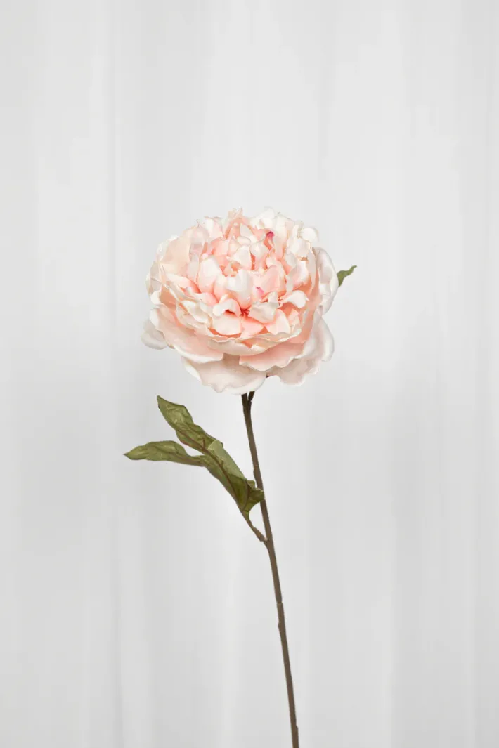 Specktrum Artificial Flowers - Rose Peony