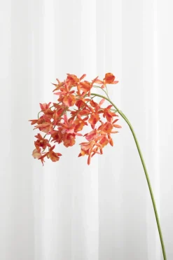 Specktrum Artificial Flowers - Sunset Stem orchid