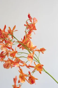 Specktrum Artificial Flowers - Sunset Stem orchid