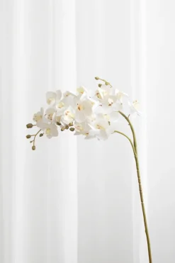 Specktrum Artificial Flowers - White Orchid (21 heads)