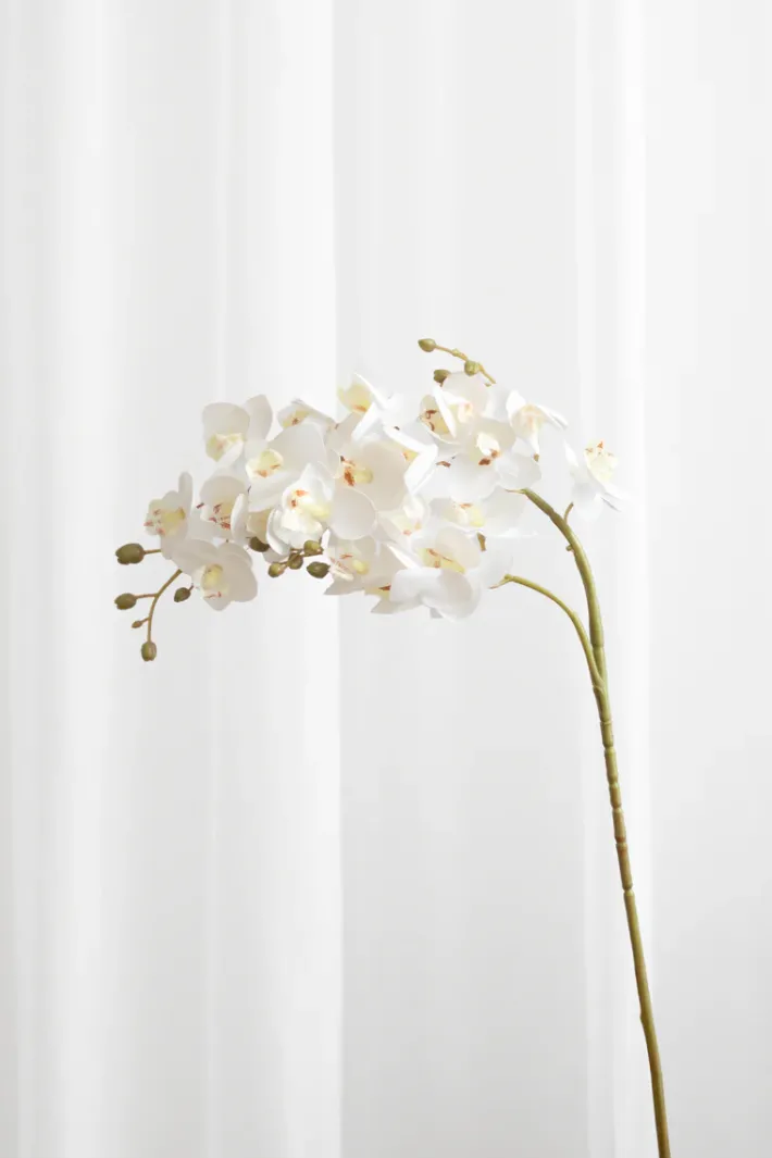 Specktrum Artificial Flowers - White Orchid (21 heads)