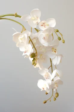 Specktrum Artificial Flowers - White Orchid (21 heads)