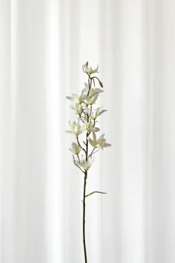 Specktrum Artificial Flowers - White Dendrobium