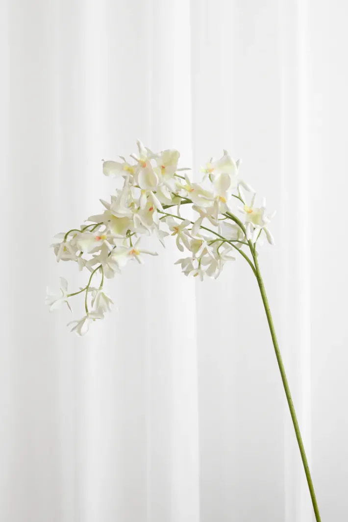 Specktrum Artificial Flowers - White Stem orchid