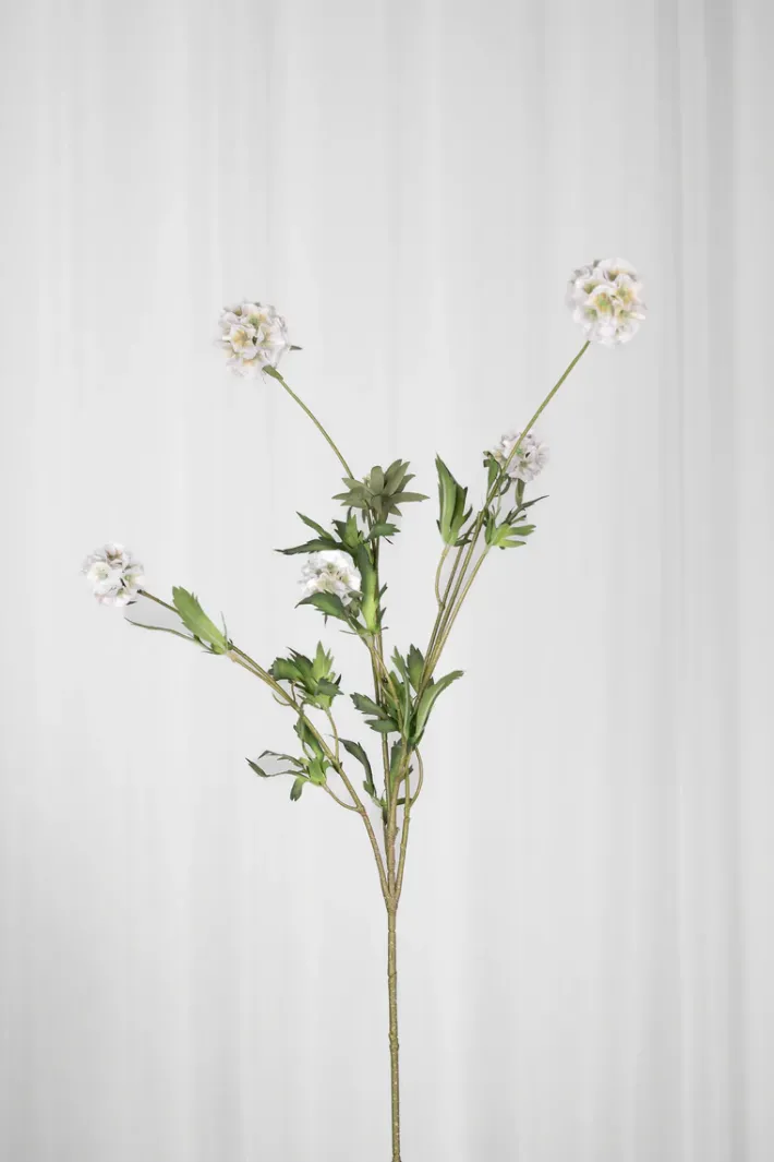 Specktrum Artificial Flowers - White Scabiosa Seed Pod (multible heads)