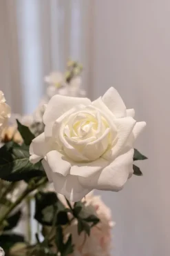 Specktrum Buketter - Buket 60