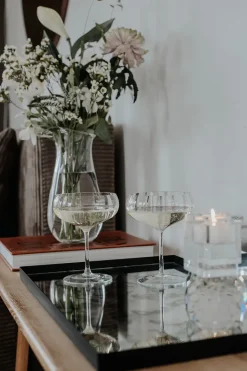 Specktrum Meadow Stemware - Clear Cocktail glass