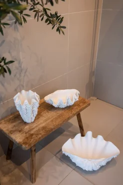 Specktrum Naya Bowl - Small