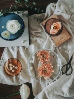 Specktrum Specktra Bowl No. 1 - Clear Large